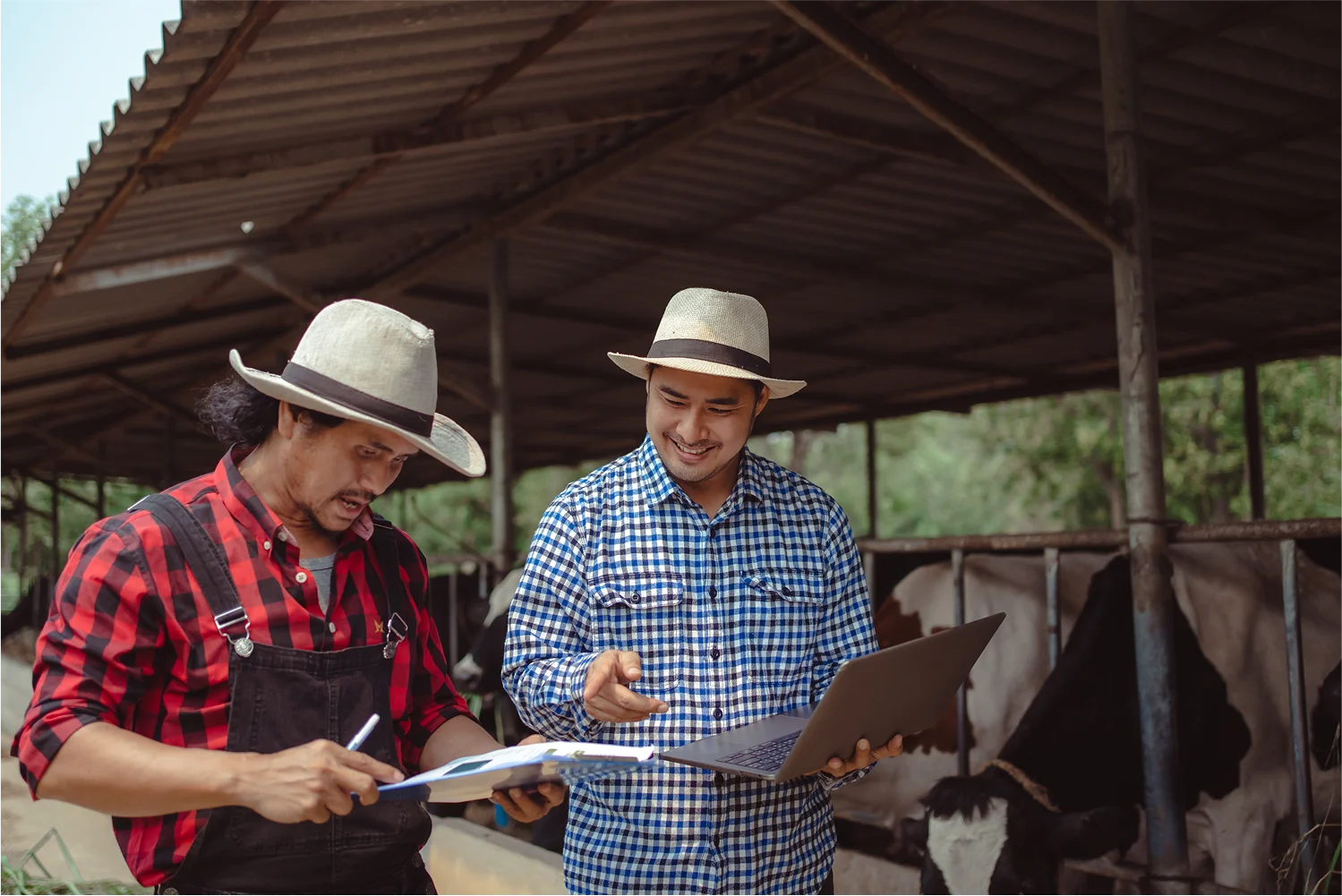 two-farmers-checking-paper